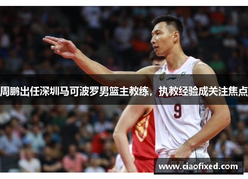 周鹏出任深圳马可波罗男篮主教练，执教经验成关注焦点